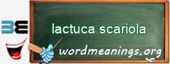 WordMeaning blackboard for lactuca scariola